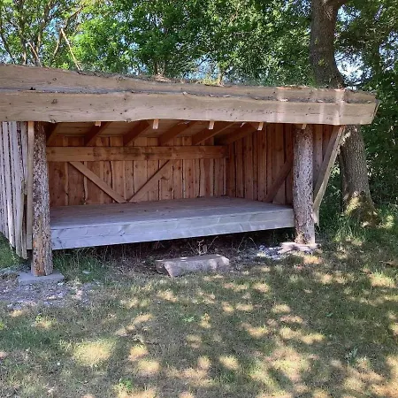 4 Person In Thisted-by Traum