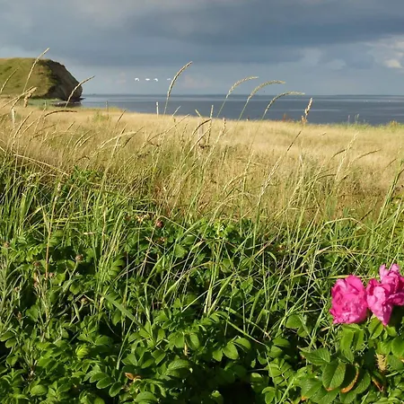 4 Person In Thisted-by Traum Casa vacanze *