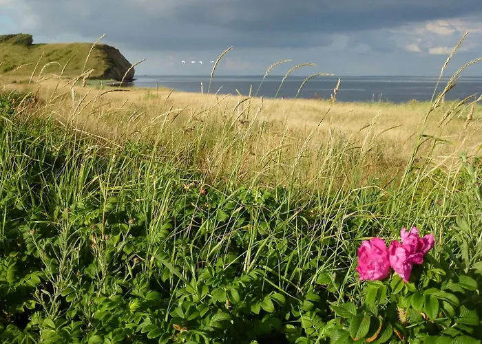 4 Person In Thisted-by Traum Дом отдыха *
